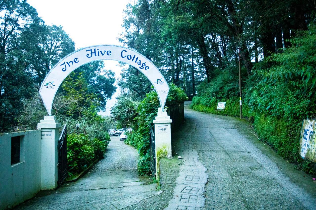 The Hive Cottage Nainital Dış mekan fotoğraf