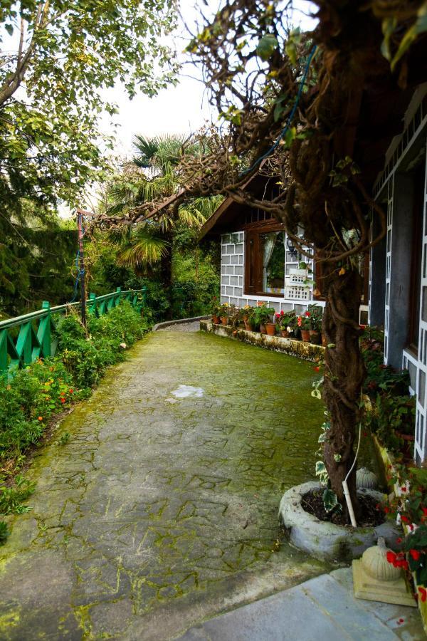 The Hive Cottage Nainital Dış mekan fotoğraf